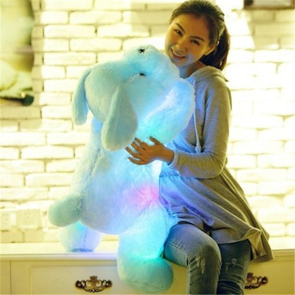 50 CM LED Light Plush Pillow